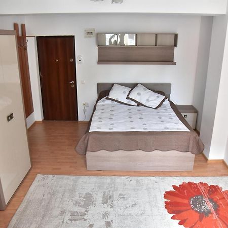 Apartament Frunzei Сибиу Екстериор снимка